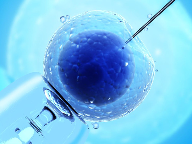 in vitro fertilization