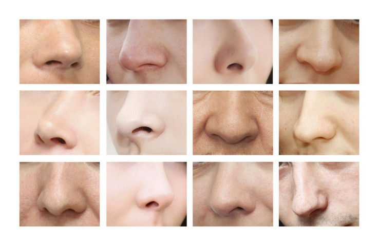 noses