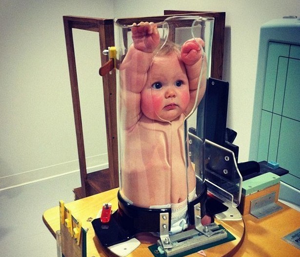 piggostat