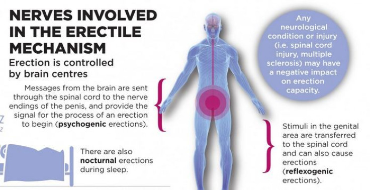 Erectile Dysfunction 