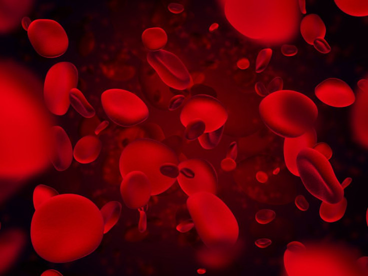 red blood cells