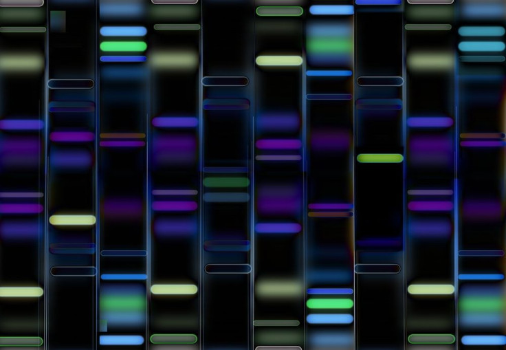 DNA sequencing