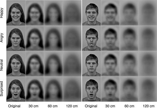 Put On A Happy Face: Newborns Can Perceive Faces At 2 To 3 Days Old ...