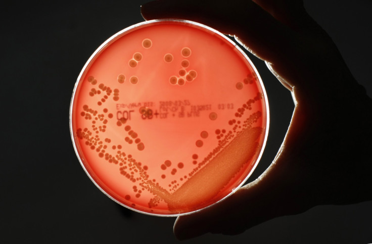 Methicillin-resistant Staphylococcus aureus