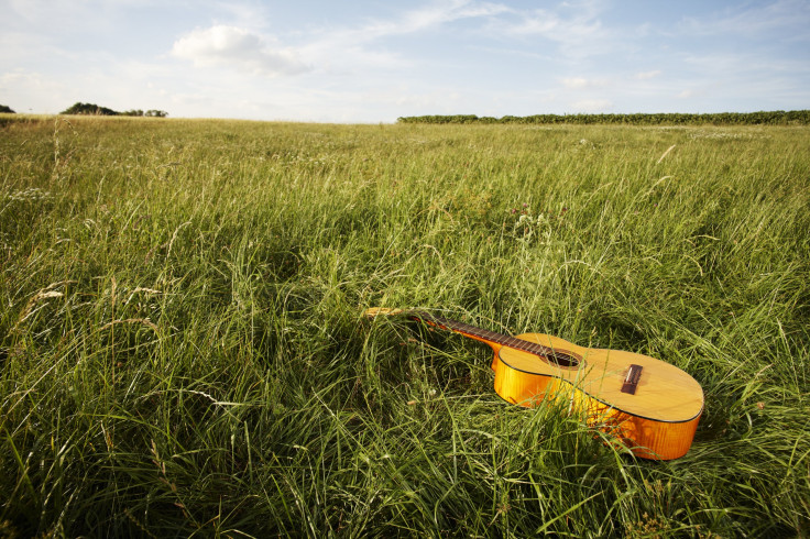 Guitar in the sun