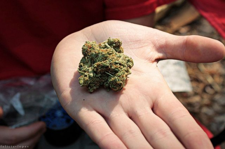 Marijuana bud