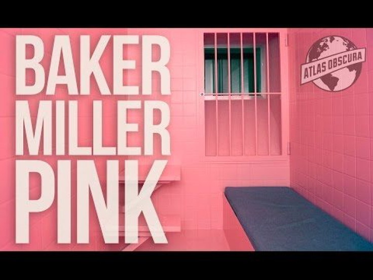 Color Psychology: Why Prisons Started Painting Their Walls Bubblegum Pink