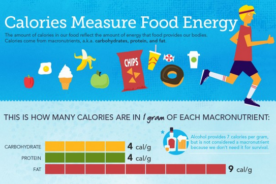 Universal Calorie Counter Within Reach? These Researchers are