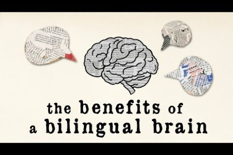A bilingual and multilingual brain boosts cognitive function, which can delay the onset of Alzheimer’s and dementia.