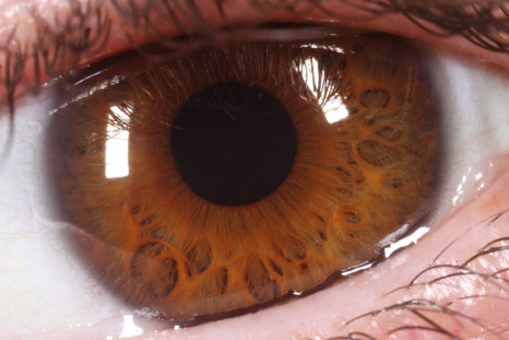 Blindness caused by age-related macular degeneration may no longer be permanent.