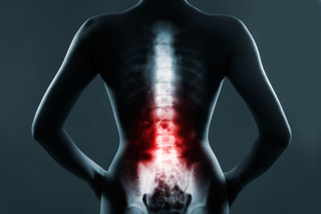 A recent study has shed light on why humans are the only species that exhibit spinal structure differences between the sexes.