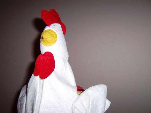 Chicken on your head