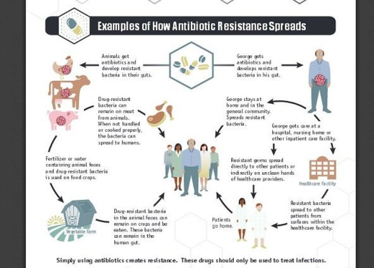 How antibiotic resistance spreads