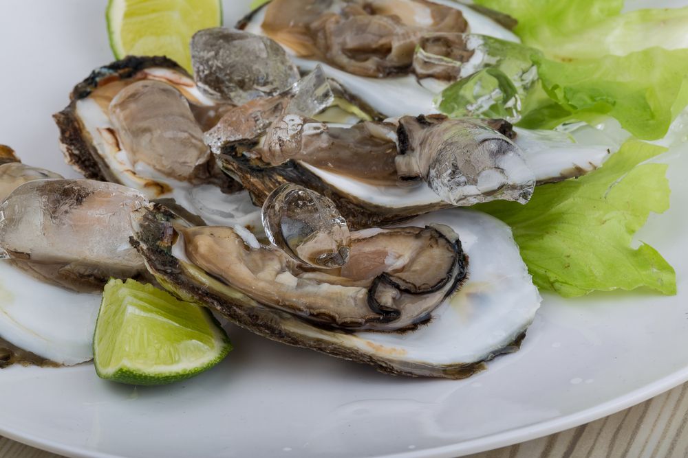 Oysters on plate