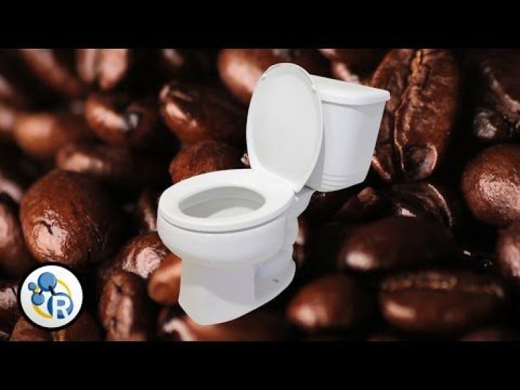 Coffee’s Laxative Effect: Why Coffee Makes Us Poop, But Energy Drinks And Soda Don’t