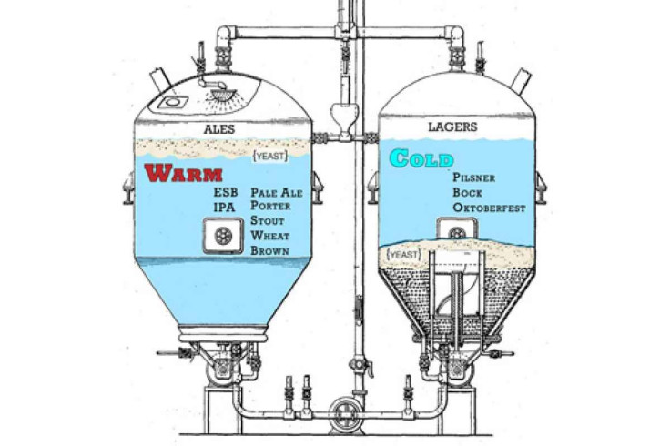 Lager Ale Fermenting