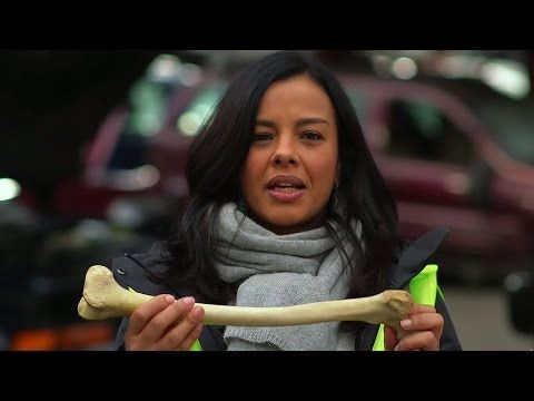 What Are Bones Made Of? Here’s Why Some Of Our Bones Can Withstand Over 1 Ton Of Compressive Force