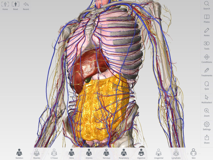 3D4Medical