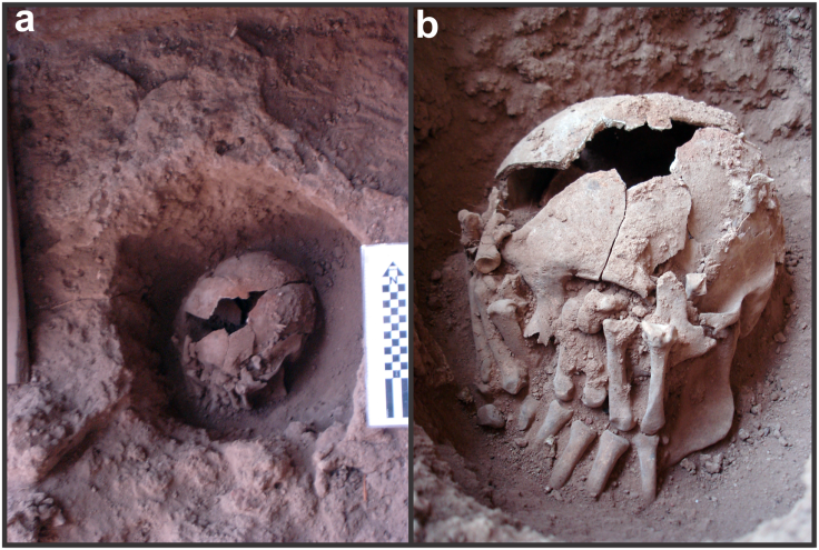 Lapa Do Santo skull