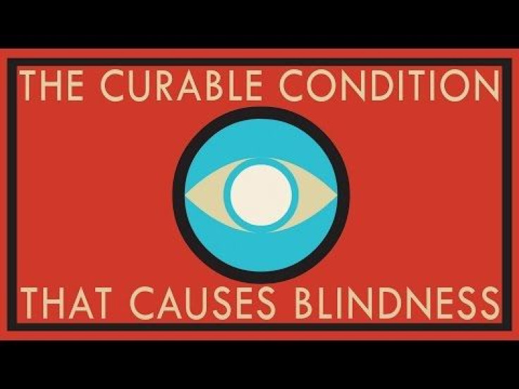 The Extensive (And Often Grotesque) History Of Cataract Treatment And How We Can Restore Sight To Millions