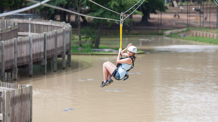 Ziplining 