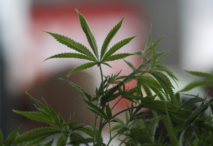 Weed The People