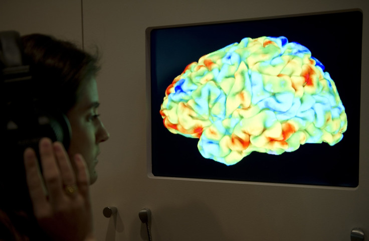 A woman looks at a functional magnetic resonance image. 