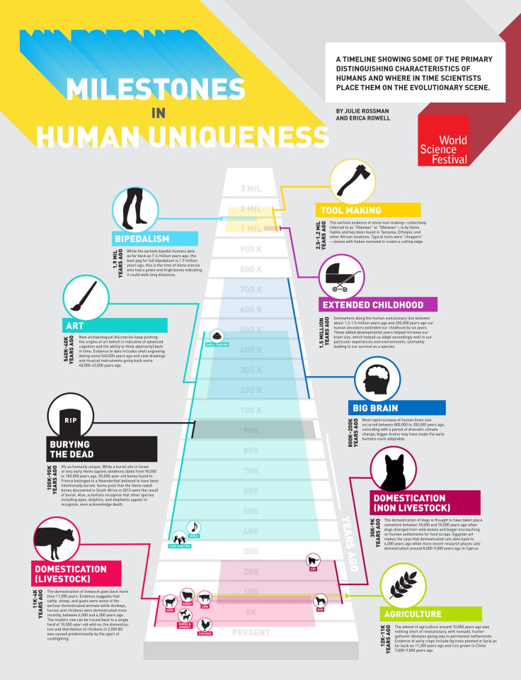 Human Evolution