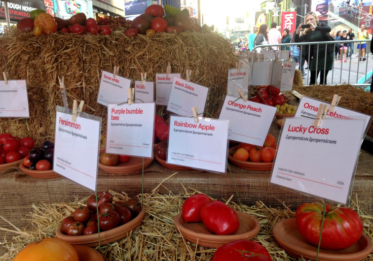 Tomato Display