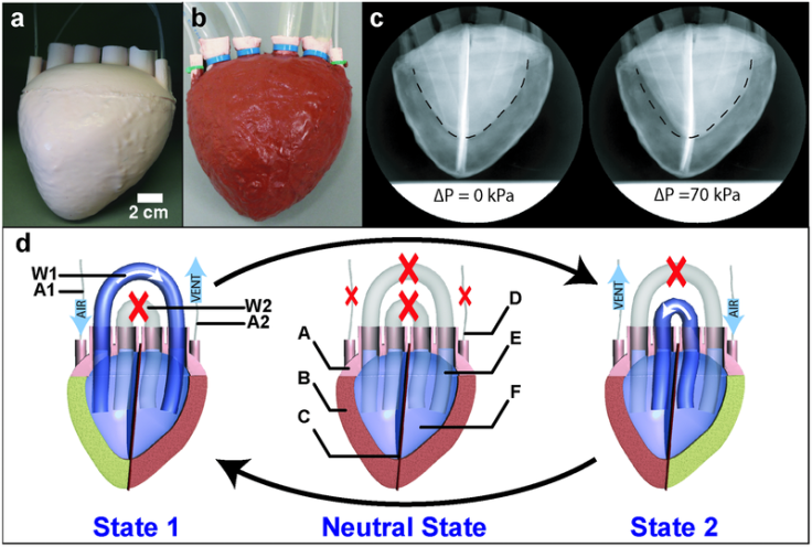 Artificial foam heart