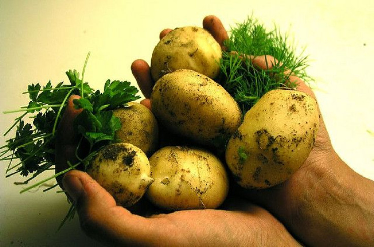 potatoes