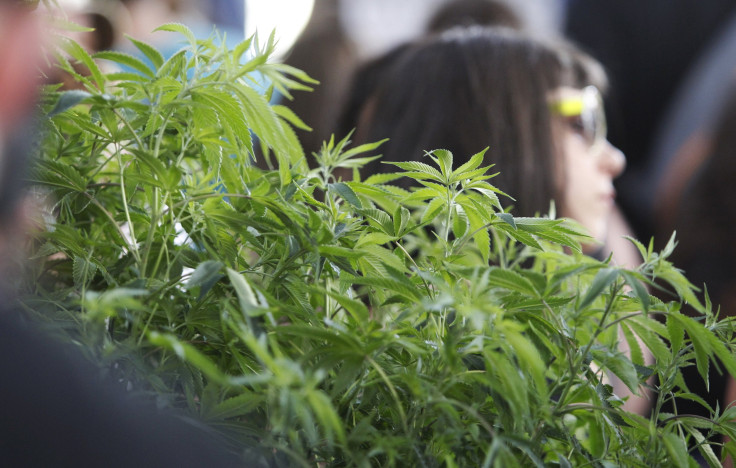 Weed The People