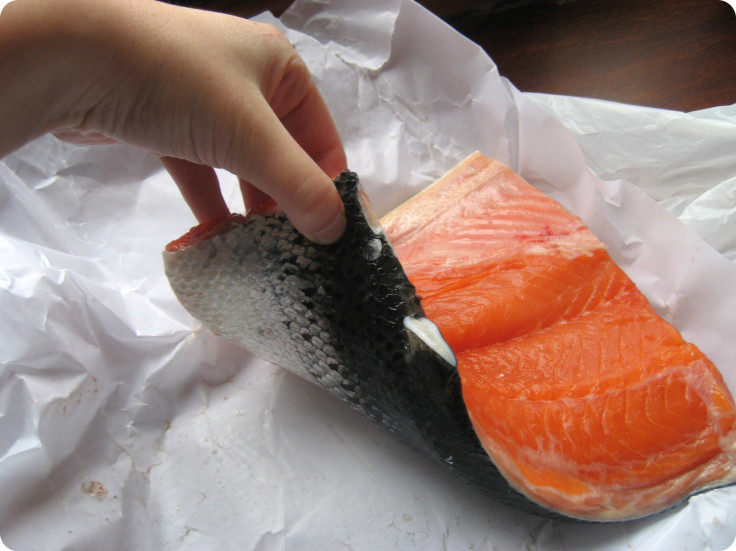 Farmed Salmon