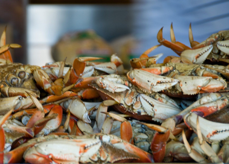California Crabbing Season
