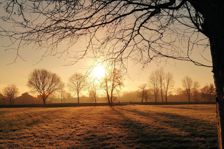 Winter sunrise