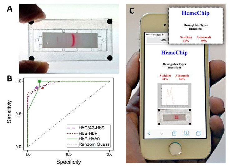 HemeChip