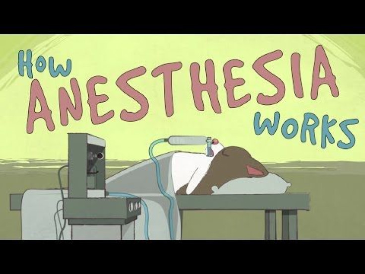 Going Under: How Anesthesia Works On The Human Body