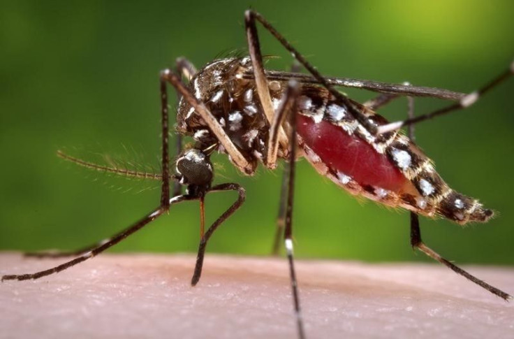 Mosquito-borne virus