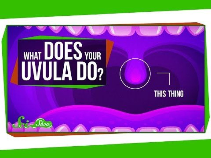 What Is Your Uvula And What Does It Do? Find Out What That Thing Is Dangling In The Back Of Your Throat