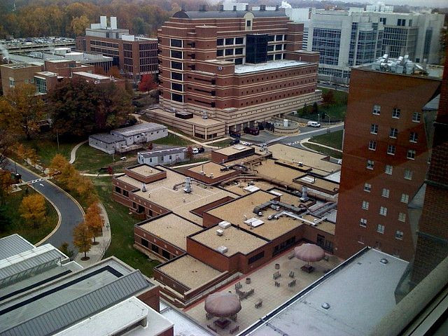 view of the NIH