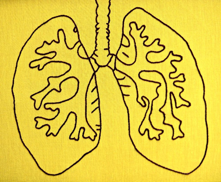 Lungs