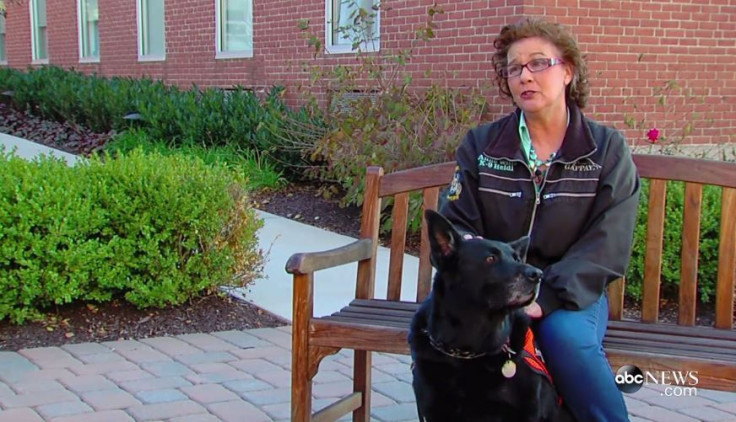 Dog Sniffs Out Cancer