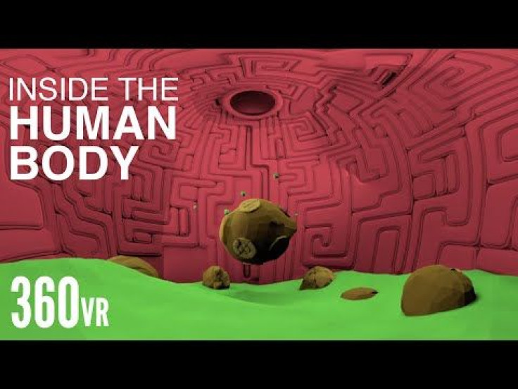 Watch The Human Body Perform Its Daily Routines From Inside The Belly Of The Beast