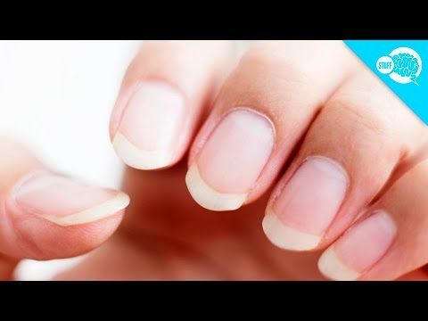 Pin by ella on nails | Long natural nails, Pretty nails, Dream nails
