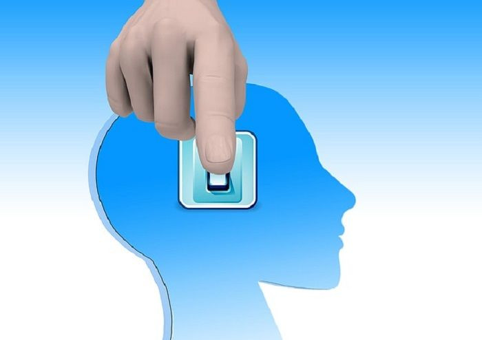 Brain
