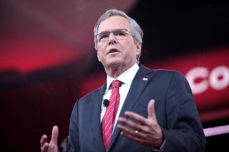 Jeb Bush