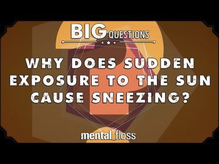 Why We Sneeze From Sudden Sun Exposure