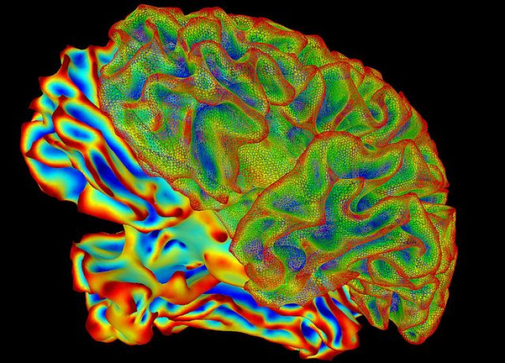 fMRI scan