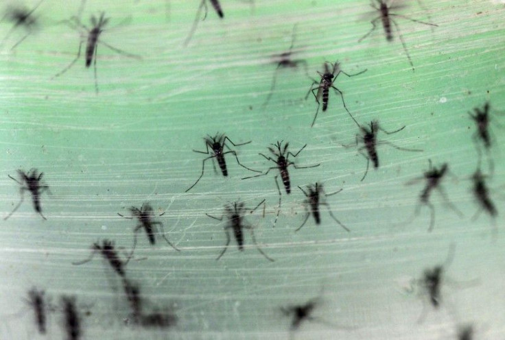 zika in texas