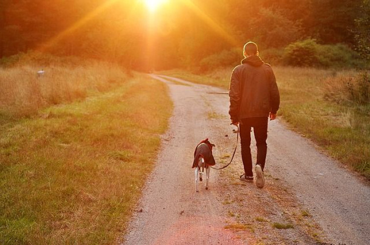 Man walking dog